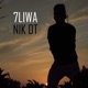 Nik Dt Single
