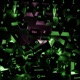 Ctrl Z EP