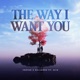 The Way I Want You feat Giin Single