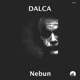 Nebun Single