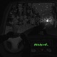 deadpixel Single