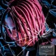 2TONES Single