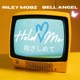 Hold Me Single