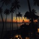 Palm Trees feat Ebby Single