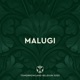 Tomorrowland Belgium 2025 Malugi at Atmosphere Weekend 2 DJ Mix