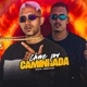 Chave pra Caminhada feat Jordinho de Acau Single