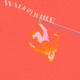Walk On Wire feat Shannon Gibbons Single