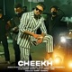Cheekh feat Sheetal Rana Single