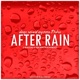 After Rain The Remixes feat Raha EP