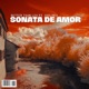 Sonata de Amor feat ViOLiNiA Zhanna Stelmakh Single