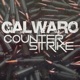 Counter Strike Single