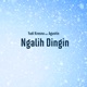 Ngalih Dingin feat Agustin Single