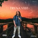 Tryna Vibe Single
