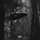 BREATH OF THE ANCIENTS Single