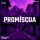 Promíscua feat MC NANDINHO mc denny Single