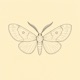 moth hour EP