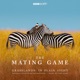 The Mating Game Grasslands In Plain Sight Original Television Soundtrack