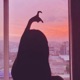 Hello Dai Single