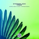 Free Starsplash Charly Lownoise Meets Nivara Nivara Meets Charly Lownoise Extended Remix Single