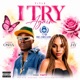 I TRY AGAIN feat LANA JAY Single