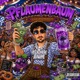Pflaumenbaum Single