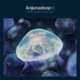 Anjunadeep 02 Unmixed DJ Ready
