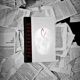 Pageburner Single