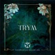 Tomorrowland 2024 Trym at Atmosphere Weekend 1 DJ Mix