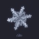 Merry Christmas Baby Winter Wonderland Single