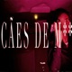 Cães de M rda Single
