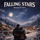 Falling Stars feat TARX Single