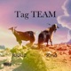 Tag TEAM feat Krid Single