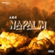 Napalm The 2020 Perspective Single