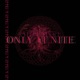Only at Nite