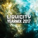 Liquicity Yearmix 2017 Maduk DJ Mix