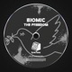 The Freedom Single
