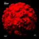 Hellraiser Single