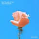 The Thought of You The Freestyle Single