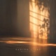 fading light Single