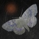 In the Dark EP