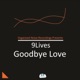 Goodbye Love Single