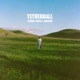 Tetherball Deluxe Single