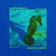 Seahorse Lullaby Quiet Storm Single