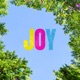 JOY feat Alice Lily Single