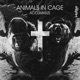 Acclimatize Single