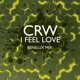 I feel Love Benelux Mix Single