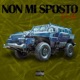 Non Mi Sposto Single