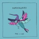 Hummingbird Single