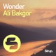 Wonder Single