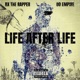Life After Life